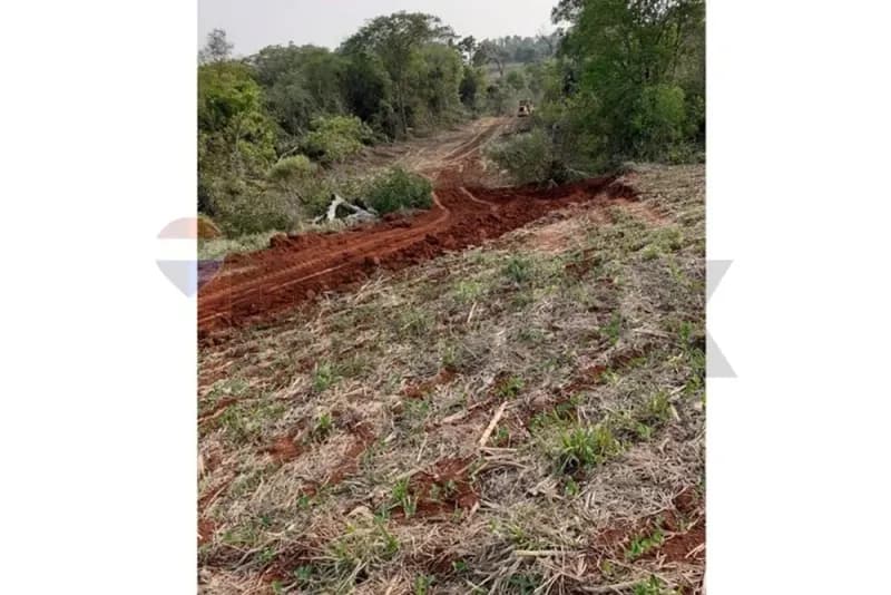1m² Land for Sale in Mbaracayú, Mbaracayú - Image 5