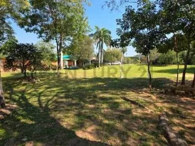 Terreno de 2,520m² en Venta en Limpio - Image 4