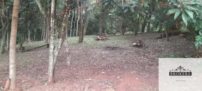 1,600m² Land for Sale in Villa Ygatimí, Villa Ygatimí - Image 2
