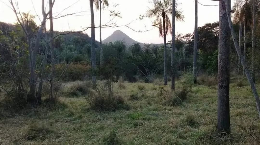 Land for Sale in Caacupé - Image 9