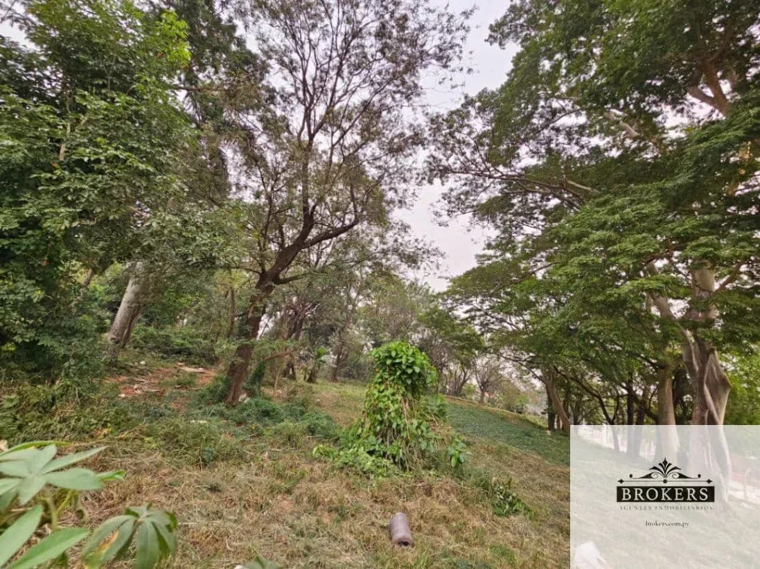 7,136m² Land for Rent in Ypatí, Villa Elisa - Image 4