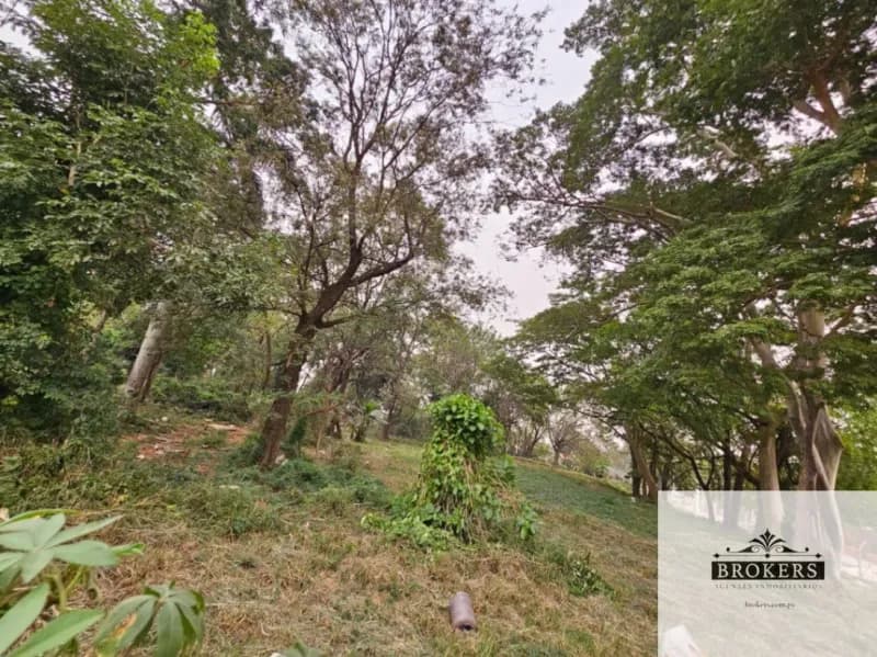 7,136m² Land for Rent in Ypatí, Villa Elisa - Image 4