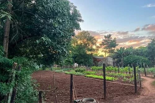 362m² Land for Sale in San Miguel, Presidente Franco - Image 2
