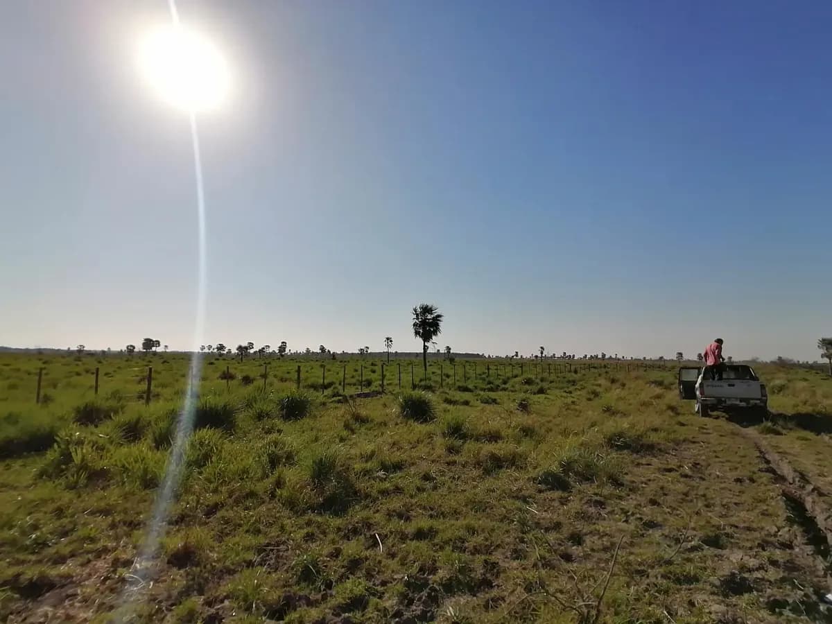 262m² Lot for Sale in Nueva Italia - Image 3