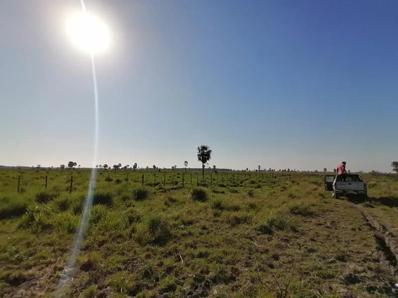 262m² Lot for Sale in Nueva Italia - Image 3