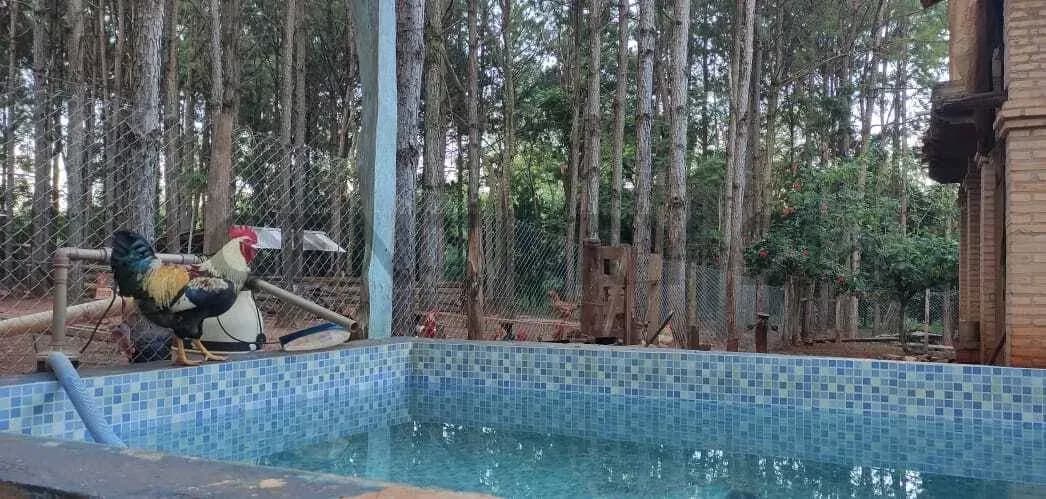 Terreno de 5.73m² à Venda em Ciudad de Arroyo Pora-Sub Urbano - Image 14