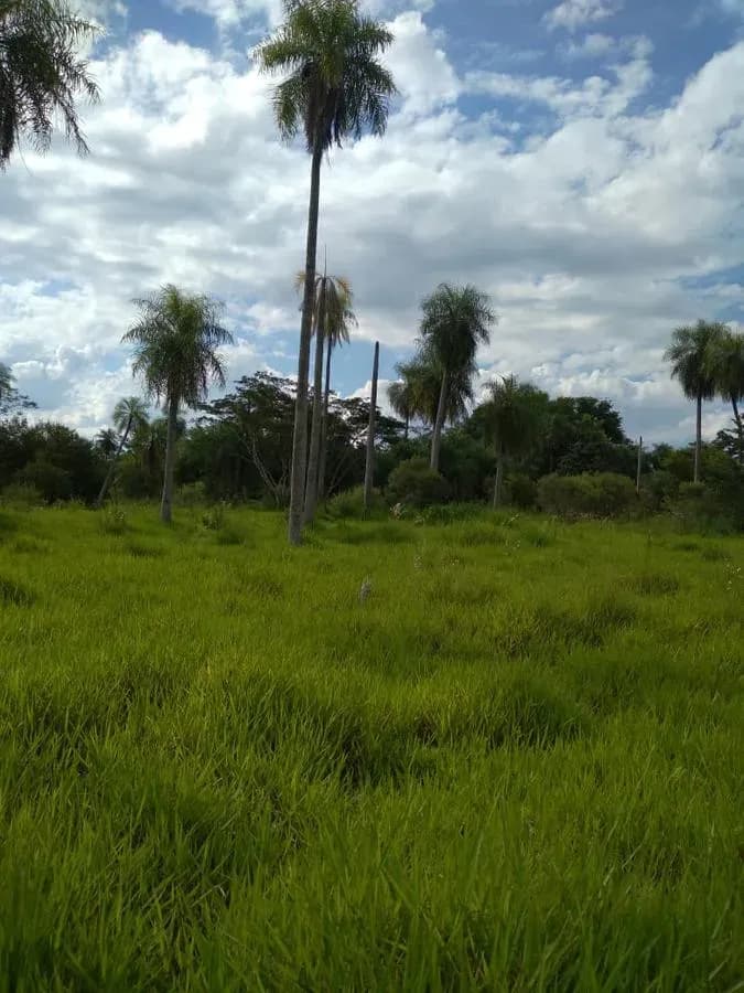 Terreno de 1,997m² en Venta en Ypacaraí - Image 11