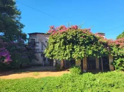 612m² Land for Sale in Cuarto Barrio, Luque - Image 2