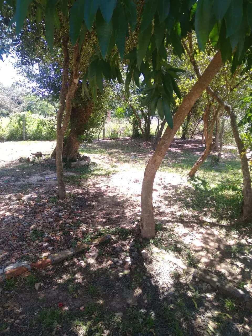 Terreno de 390m² en Venta en Calle Marista, Coronel Oviedo - Image 3