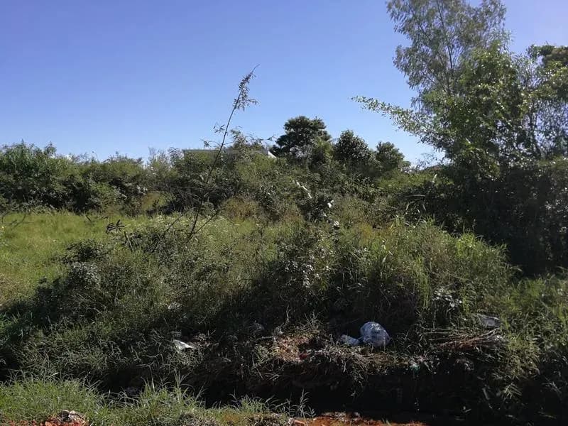 Terreno de 6.63m² en Venta en Limpio