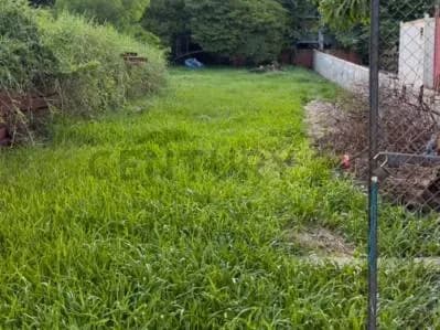 Terreno de 998m² en Venta en Campo Grande, Luque - Image 6