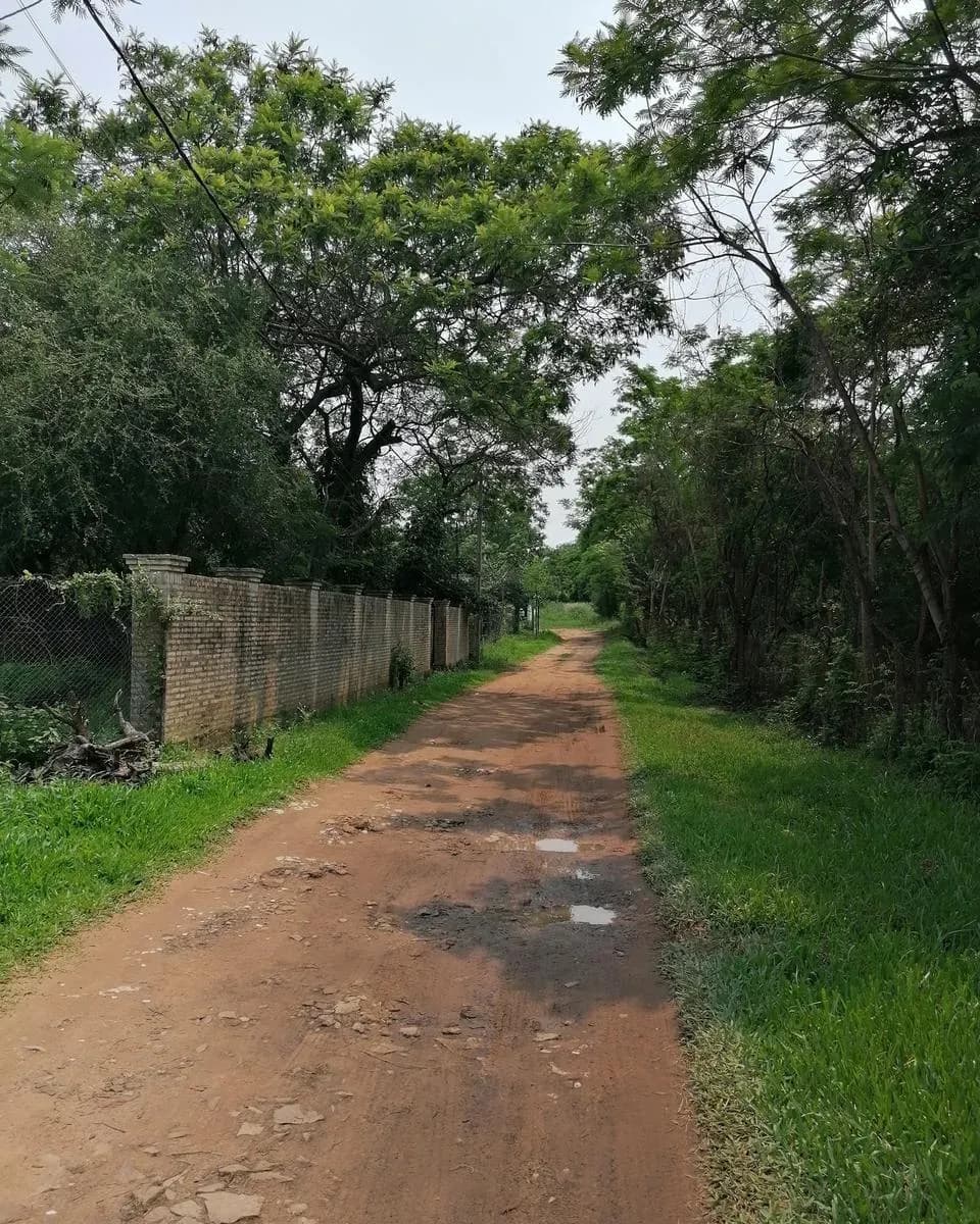 Terreno de 750m² en Venta en ALEX SA (Maquila de Motos), Luque