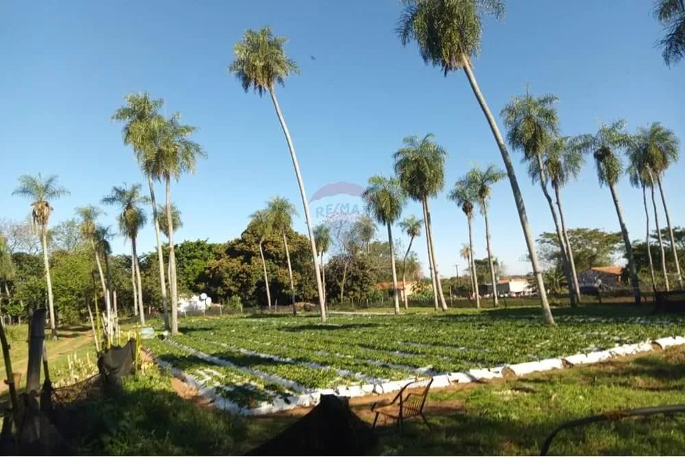 Terreno de 2,304m² en Venta en San Miguel, Areguá - Image 6