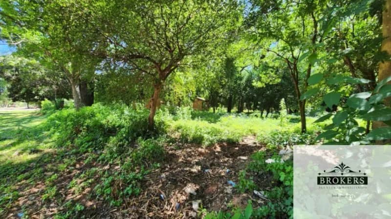 Terreno de 3.000m² à Venda em San Bernardino - Image 2
