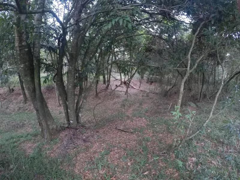 Terreno de 110,000m² en Venta en Caacupé - Image 16
