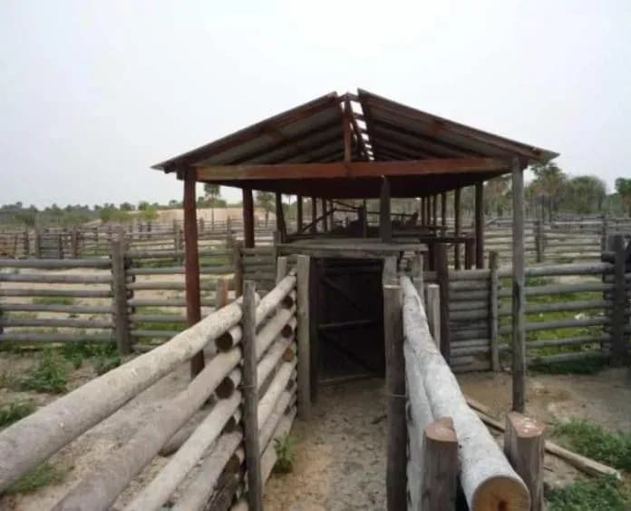 Terreno en Venta en Maria Auxiliadora, Fuerte Olimpo