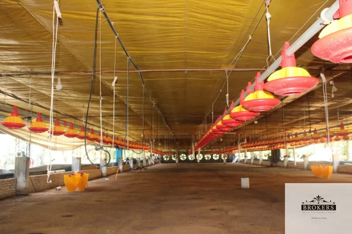 Local Comercial de 3,015m² en Venta en Loma Pero, Villeta - Image 14