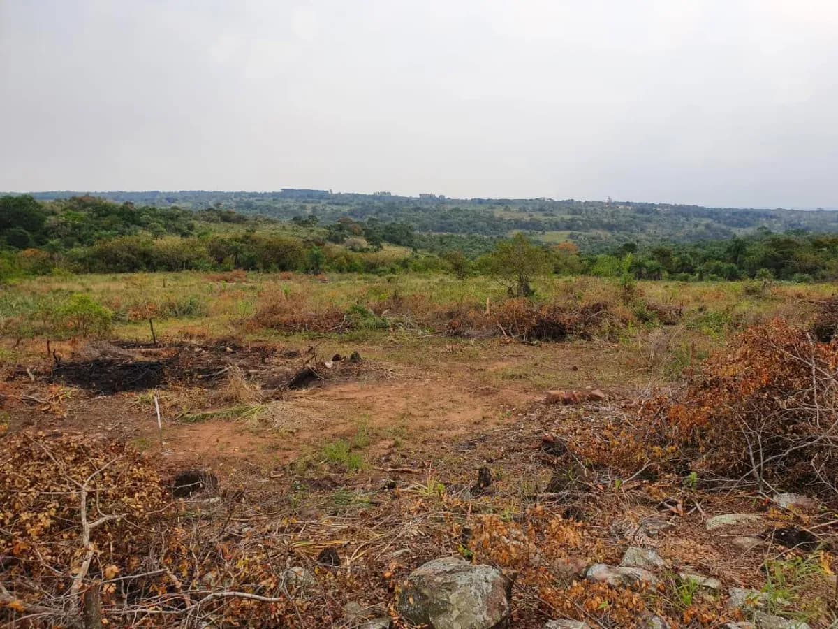 Terreno de 128,081m² en Venta en Limpio - Image 8