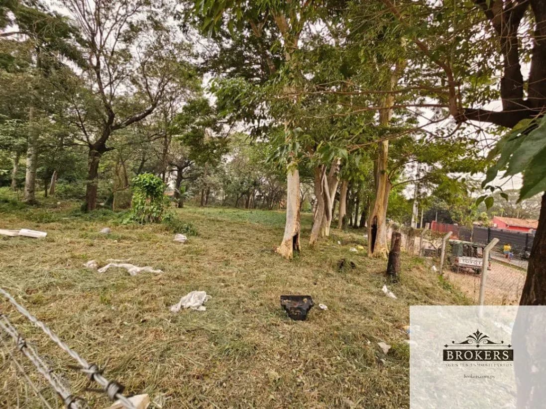 7,136m² Land for Rent in Ypatí, Villa Elisa - Image 6