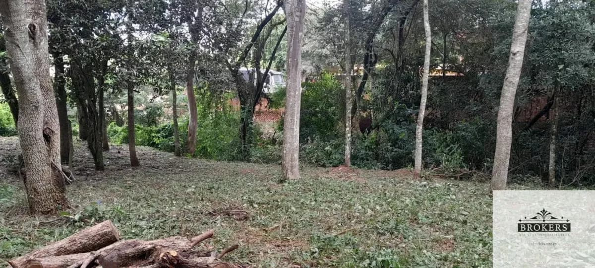 1,600m² Land for Sale in Villa Ygatimí, Villa Ygatimí - Image 12