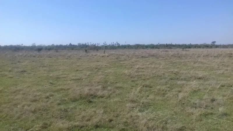 Terreno de 122m² en Venta en Coronel Oviedo - Image 5