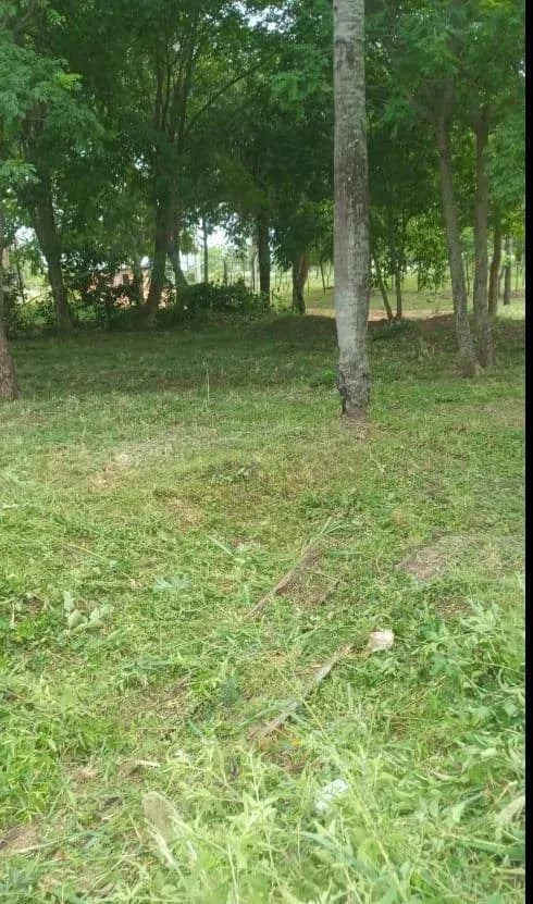 Terreno de 720m² en Venta en Limpio - Image 6