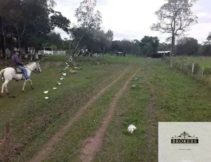 Terreno en Venta en Espíritu Santo, San Juan Bautista - Image 13