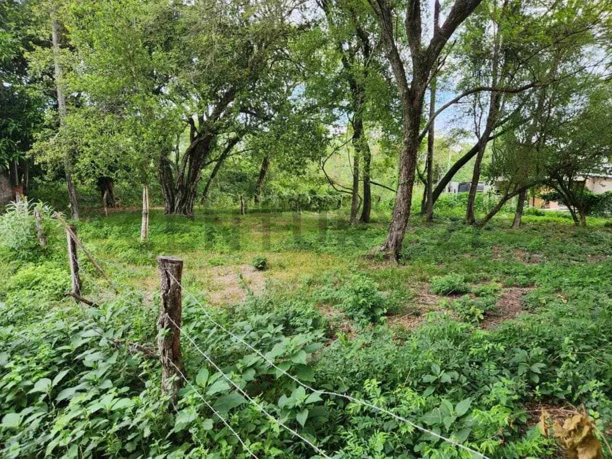 Terreno de 720m² à Venda em San Bernardino