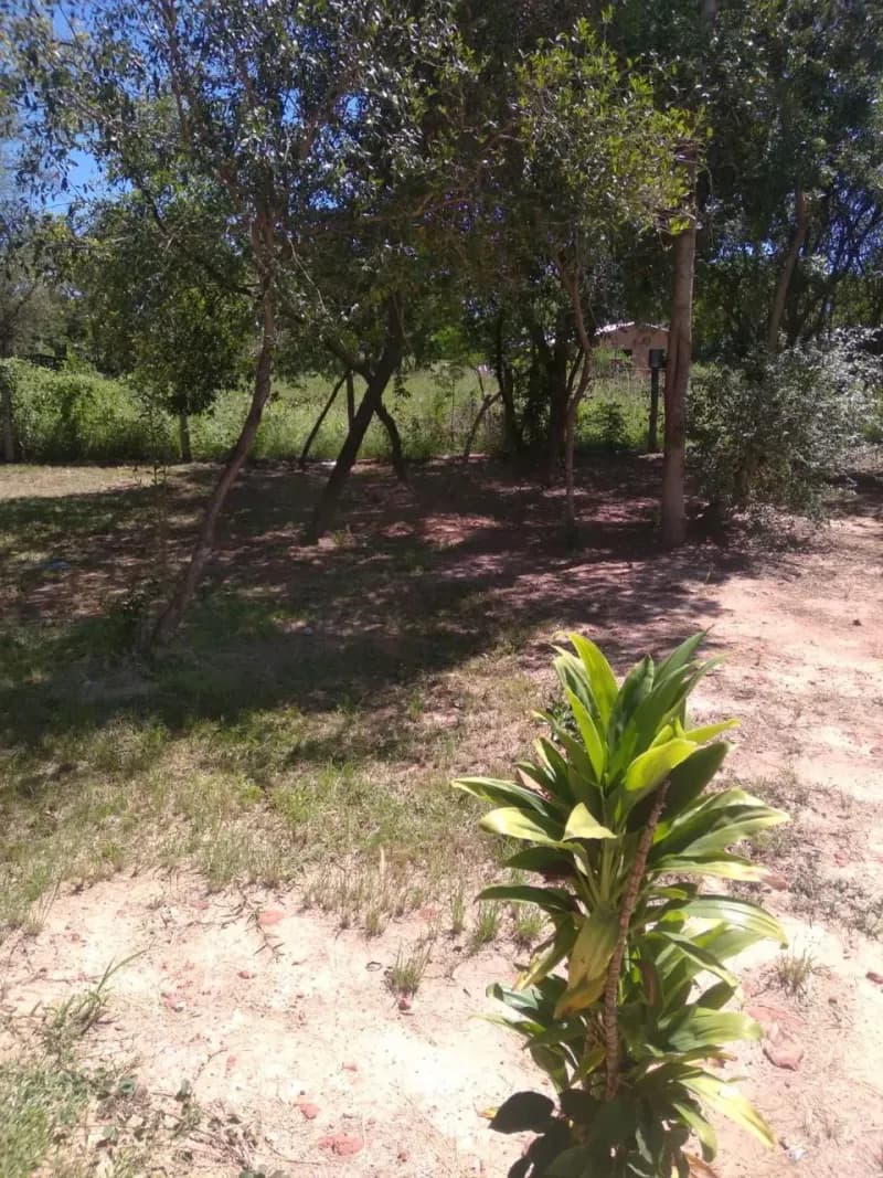 Terreno de 390m² en Venta en Calle Marista, Coronel Oviedo - Image 2