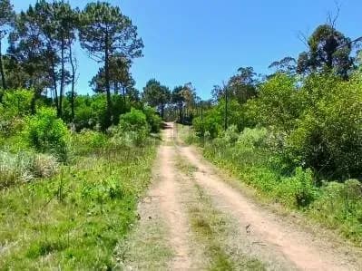 Terreno de 568m² en Venta en La Esmeralda - Image 3