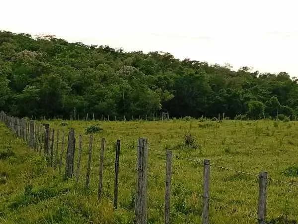 Terreno de 100.000m² à Venda em Caaguazú - Image 4