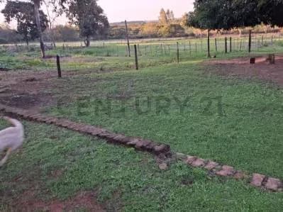 Terreno de 56,000m² en Venta en San Bernardino - Image 3