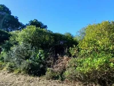 Terreno de 413m² en Venta en San Antonio, San Antonio - Image 2