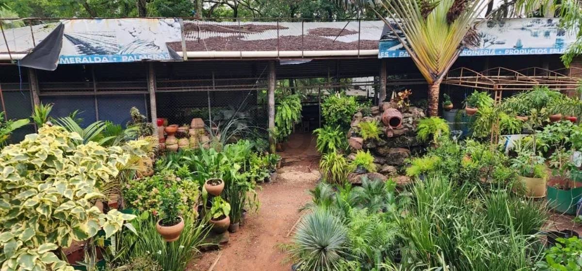 Terreno de 1,000m² en Venta en San Miguel, Areguá - Image 14