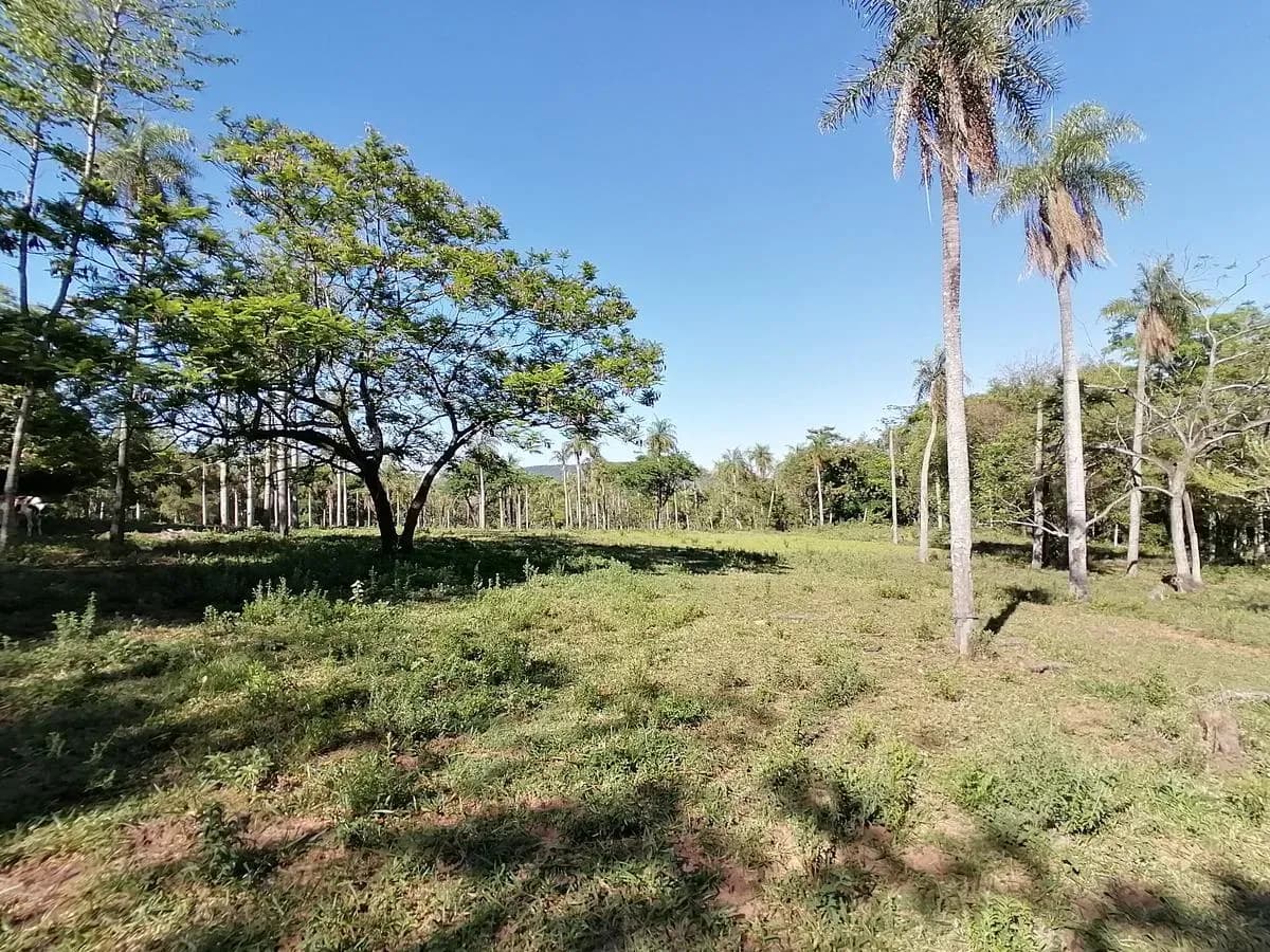 Land for Sale in Caacupé - Image 2