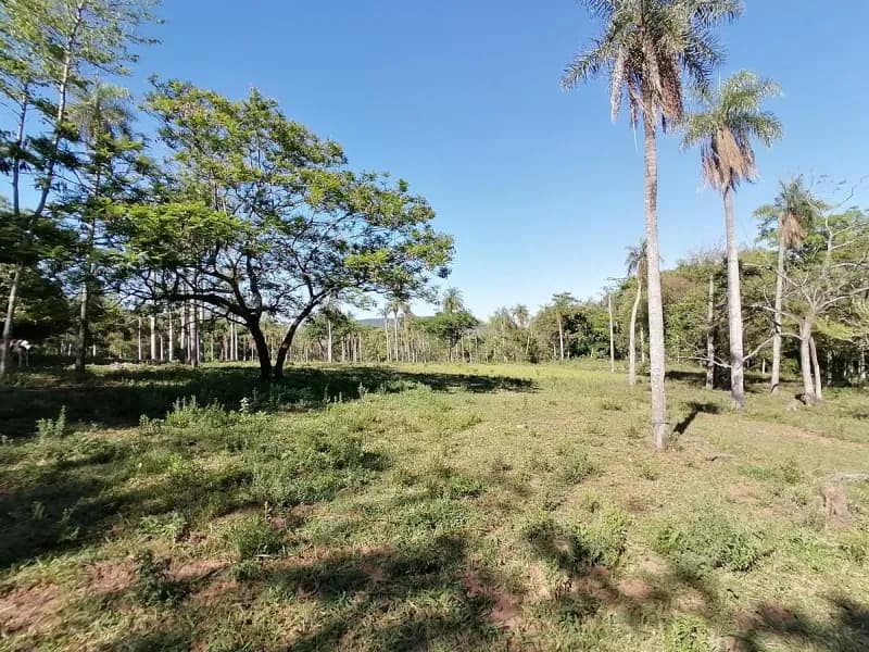 Land for Sale in Caacupé - Image 2