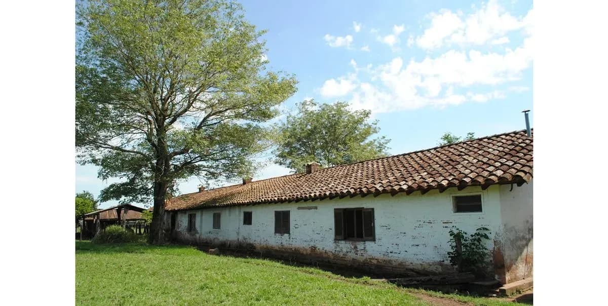 Land for Sale in Nueva Italia - Image 7