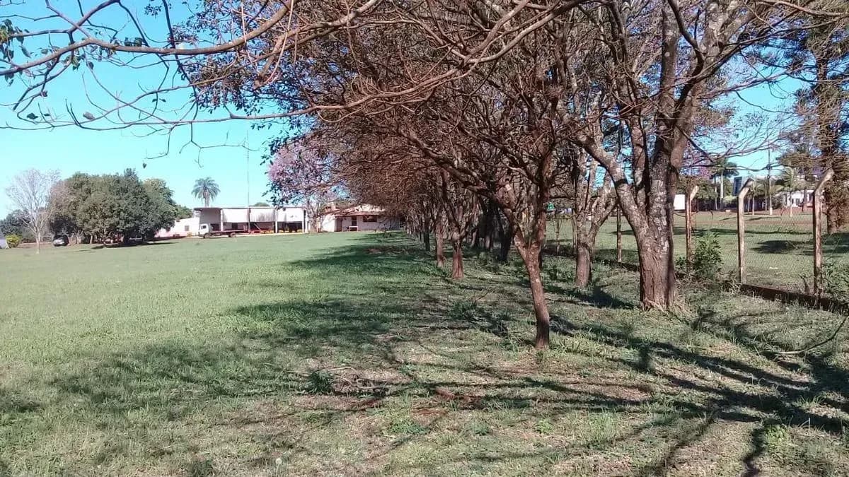 Terreno de 17m² à Venda em Arquitecto Tomás Romero Pereira - Image 10