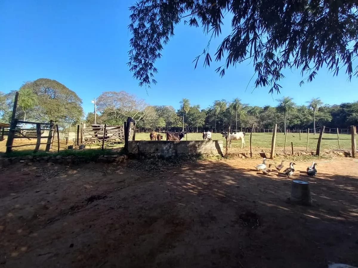 Land for Sale in Nueva Italia - Image 20