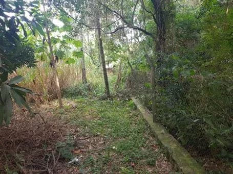 Terreno de 148m² à Venda em San Bernardino - Image 5