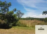 Terreno de 600m² en Venta en San Bernardino - Image 3