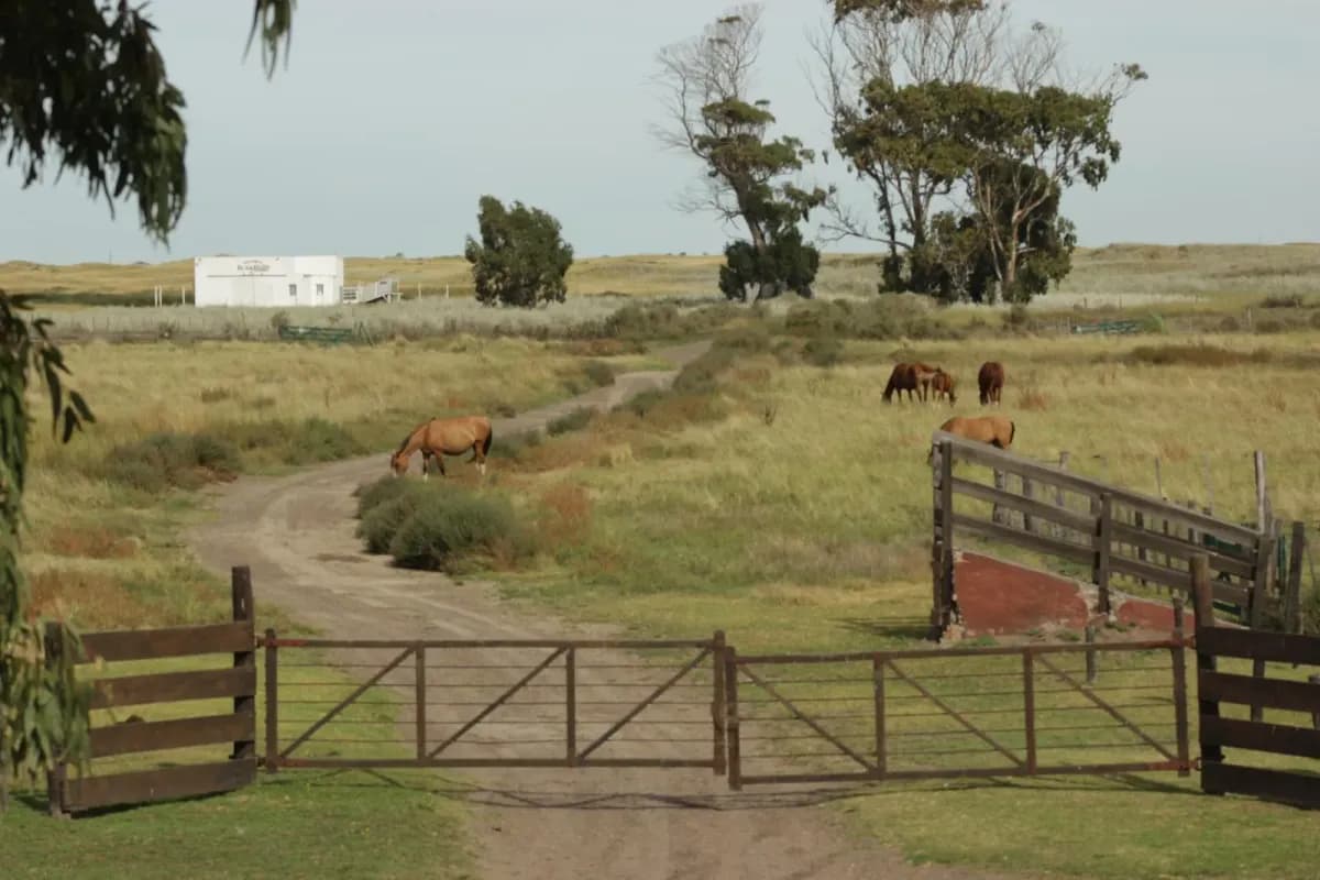 Terreno de 1,383m² en Venta en Los Pocitos - Image 15