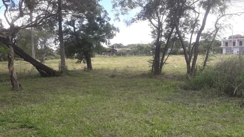 22,400m² Lot for Sale in Tercer Barrio, Luque - Image 3