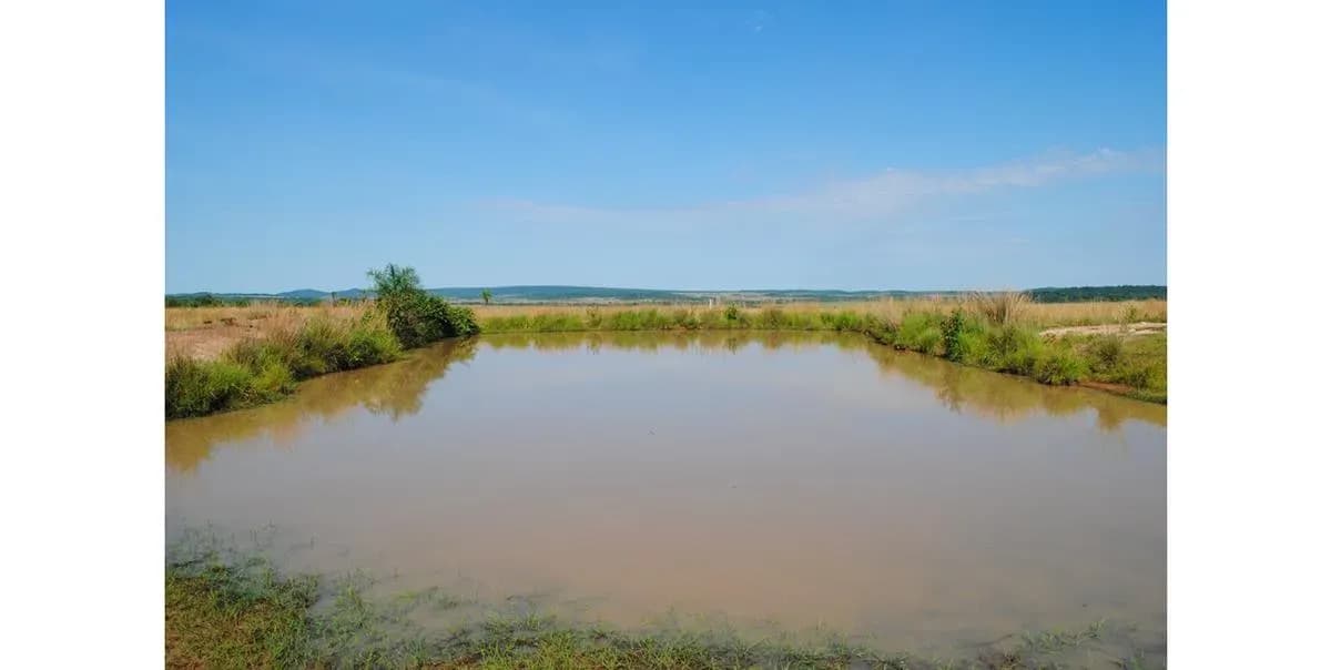 Land for Sale in Nueva Italia - Image 14
