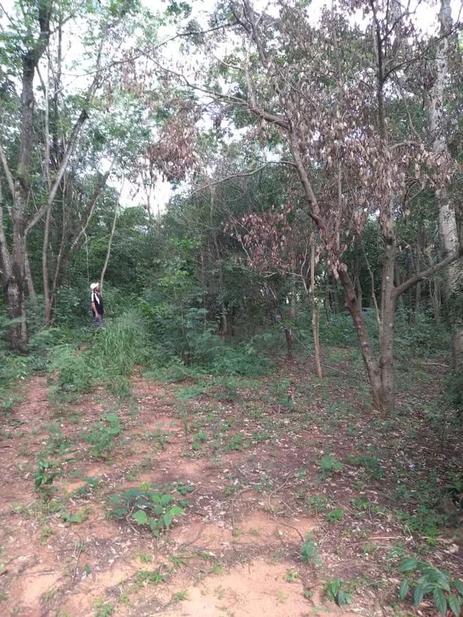 Terreno de 1,997m² en Venta en Ypacaraí - Image 15