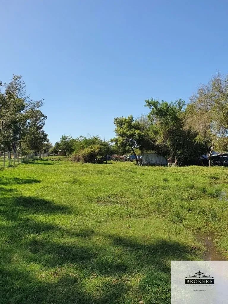 Terreno de 21,418m² en Venta en Limpio - Image 3