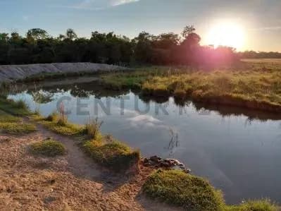 Terreno de 46.5m² à Venda em Coronel Oviedo - Image 3