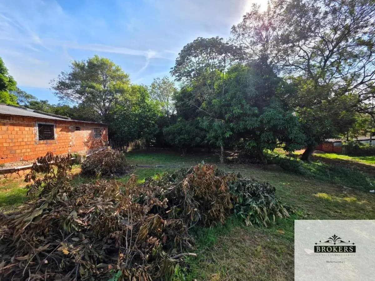 Terreno de 14m² en Venta en Limpio