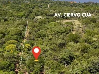 Terreno de 7.814m² à Venda em San Bernardino - Image 2