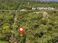 Terreno de 7.814m² à Venda em San Bernardino - Image 2
